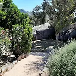 Sole Di Dume Sotta