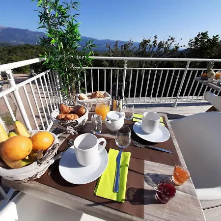 Sole Di Dume * 소타