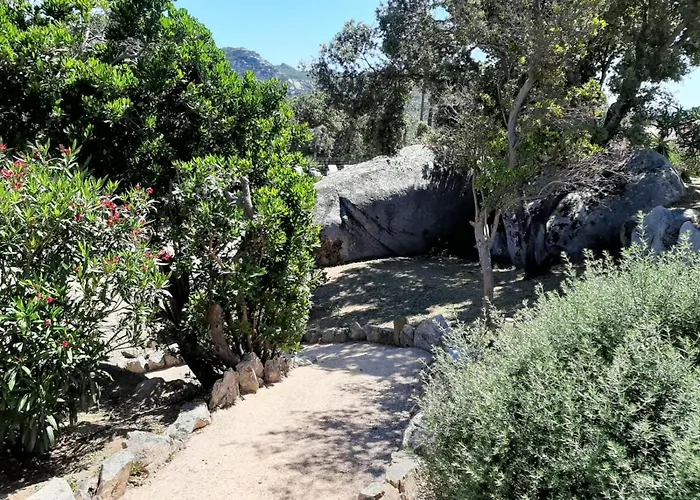 Sole Di Dume Sotta